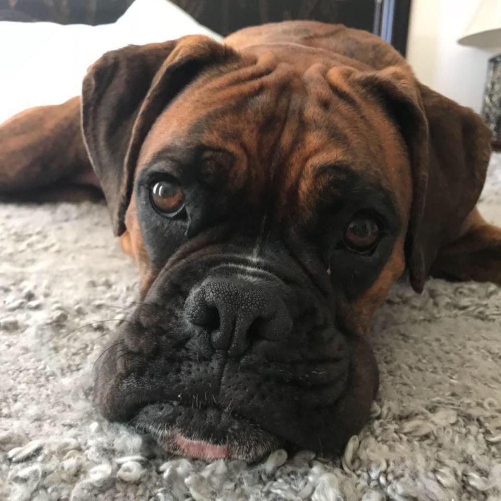 Meet your Posher, Courtney